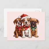 Carte Postale Chiens en boîte de Noël (Devant / Derrière)