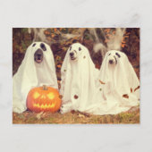 Carte Postale Chiens en costumes fantômes Drôle Halloween (Devant)
