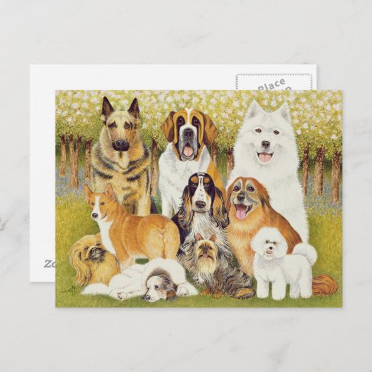Carte Postale Chiens en mai (Devant / Derrière)