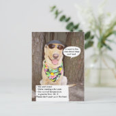 Carte Postale Chiens et chaleur (Debout devant)