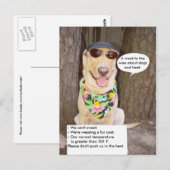 Carte Postale Chiens et chaleur (Devant / Derrière)
