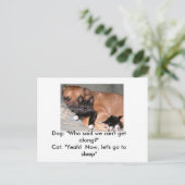 Carte postale Chiens et Chats (Debout devant)