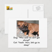 Carte postale Chiens et Chats (Devant / Derrière)