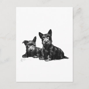CARTE POSTALE CHIENS ÉTENDUS VÉRIFIER ET RECHERCHER