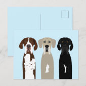 Carte Postale Chiens géants (Devant / Derrière)