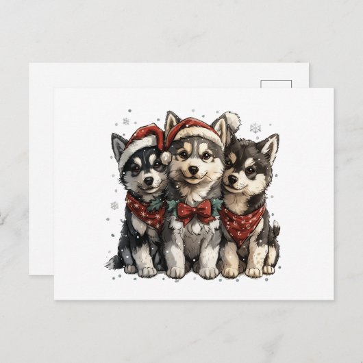 Carte Postale Chiens Husky de Noël (Devant / Derrière)