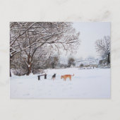 Carte Postale chiens jouant en paysage neigeux à noël (Devant)