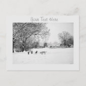 Carte Postale chiens jouer hiver neige paysage paysage (Devant)