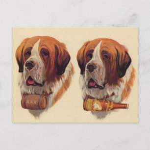 Carte Postale chiens jumeaux identiques St. Bernard