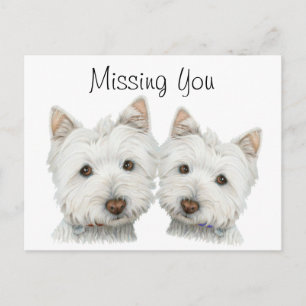 Carte Postale Chiens mignons Westie