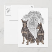 Carte Postale Chiens noirs Doberman (Devant / Derrière)