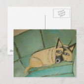 Carte Postale chiens par eric ginsburg (Devant / Derrière)