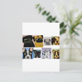 Carte Postale chiens par eric ginsburg (Debout devant)