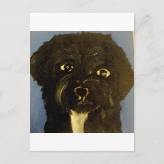 Carte Postale chiens par eric ginsburg (Devant)
