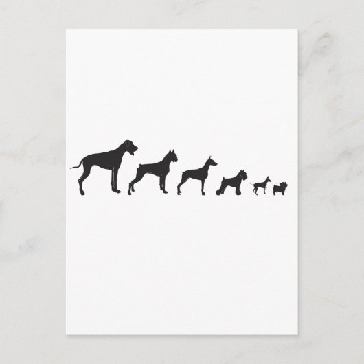 Carte Postale Chiens, petits et grands (Devant)