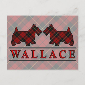 Carte Postale Chiens Scottie Clan Wallace Tartan