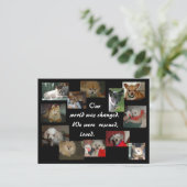 Carte Postale Chiens secourus (Debout devant)