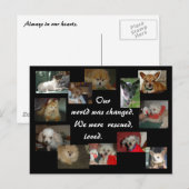 Carte Postale Chiens secourus (Devant / Derrière)