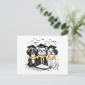 Carte Postale Chiens Shih Tzu de remise de diplôme (Debout devant)