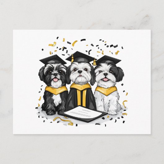 Carte Postale Chiens Shih Tzu de remise de diplôme (Devant)