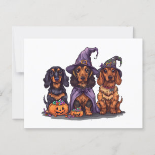 Carte Postale Chiens sorciers Halloween Dachshund