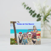 Carte Postale Chiens sur la plage (Debout devant)