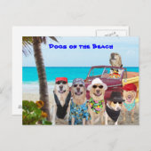 Carte Postale Chiens sur la plage (Devant / Derrière)