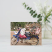 Carte Postale Chiens sur moto-Cambodge (Debout devant)