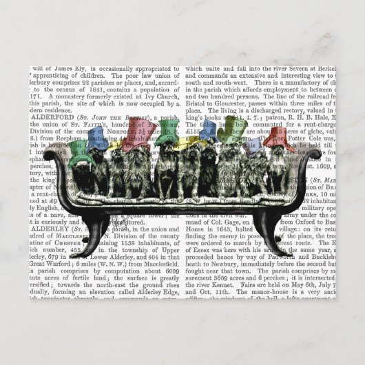 Carte Postale Chiens sur Sofa (Devant)