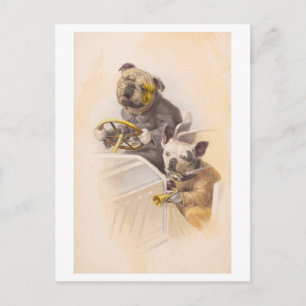 Carte Postale Chiens vintages conduisant une voiture