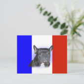 Carte Postale Chiffre de taureau français (Debout devant)