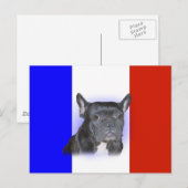 Carte Postale Chiffre de taureau français (Devant / Derrière)