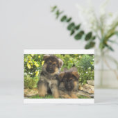 Carte Postale Chiffres allemands (Debout devant)