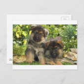 Carte Postale Chiffres allemands (Devant / Derrière)