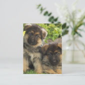 Carte Postale Chiffres allemands (Debout devant)