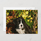 Carte Postale Chiffres de boîte (Devant / Derrière)