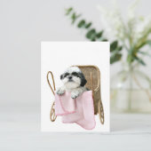 Carte Postale Chih Tzu baby buggy (Debout devant)
