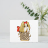 CARTE POSTALE CHIH TZU CHIEN (Debout devant)