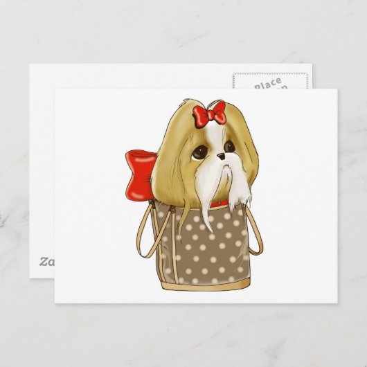 CARTE POSTALE CHIH TZU CHIEN (Devant / Derrière)