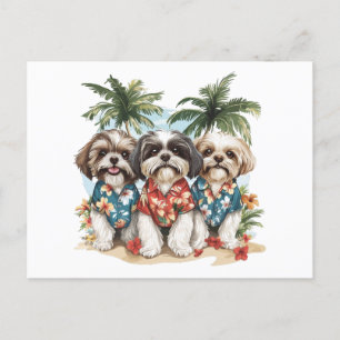 Carte Postale Chih Tzu Chiens Portant Des Chemises Hawaïennes