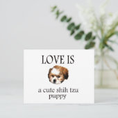 Carte Postale Chih Tzu Puppy (Debout devant)
