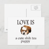 Carte Postale Chih Tzu Puppy (Devant / Derrière)