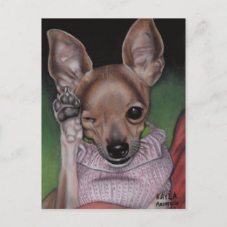 Carte postale Chihuahua