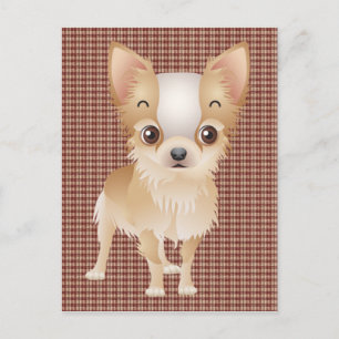 Carte Postale chihuahua