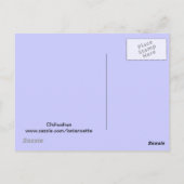 Carte postale Chihuahua (Dos)