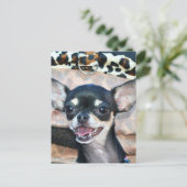 Carte postale Chihuahua (Debout devant)