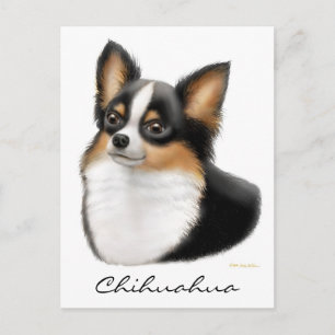Carte postale Chihuahua