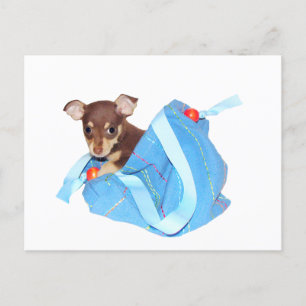 Carte Postale Chihuahua