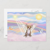 Carte Postale Chihuahua (Devant / Derrière)