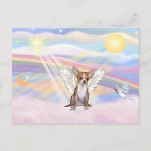 Carte Postale Chihuahua